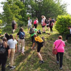 Una giornata in vigneto con IN+VITE