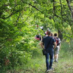 Una giornata in vigneto con IN+VITE