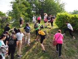 Una giornata in vigneto con IN+VITE