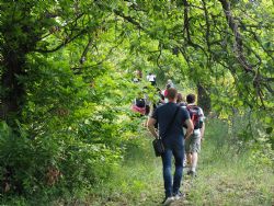 Una giornata in vigneto con IN+VITE