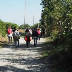 Second vineyard tour with IN+Vite for high school students