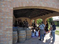 Second vineyard tour with IN+Vite for high school students