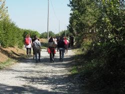 Second vineyard tour with IN+Vite for high school students